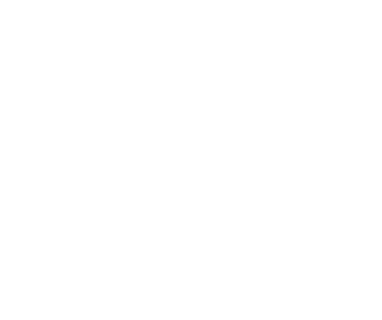 Grįžti atgal